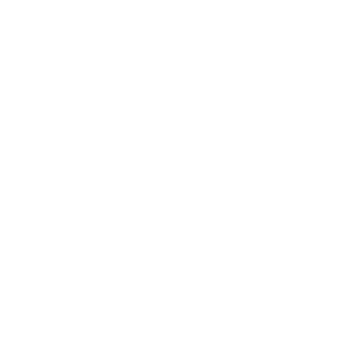 Paid Ads Agency