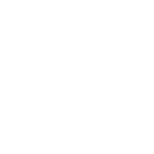 Paid Ads Agency